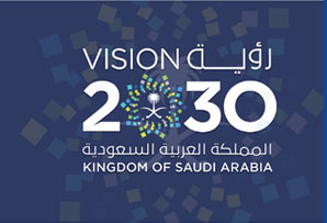 vision-3030